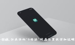 特派（或称为B特派）一般