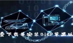 2023年最新！如何免费下载