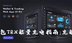 2023年Bitpie钱包TRX能量充电