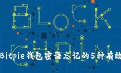 解决Bitpie钱包密语忘记的