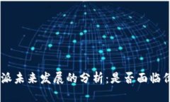 关于B特派未来发展的分析