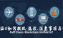 详解B特派U如何提现：流程