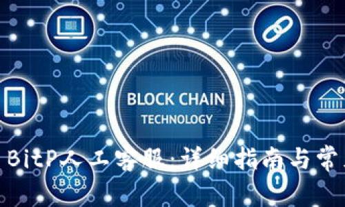 : 如何联系BitP人工客服：详细指南与常见问题解答