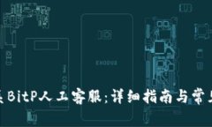 : 如何联系BitP人工客服：