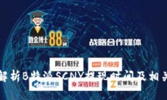 全面解析B特派SCNY提现时间