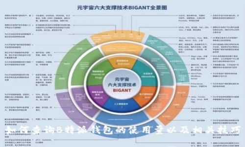 如何查询B特派钱包的使用量以及相关技巧