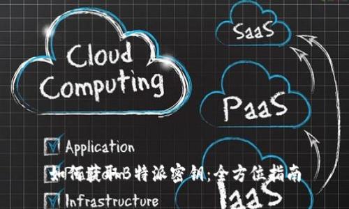 如何获取B特派密钥：全方位指南