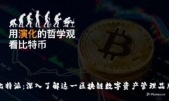 比特派：深入了解这一区